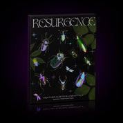 HEATHER AUSTIN COLLECTION BOX