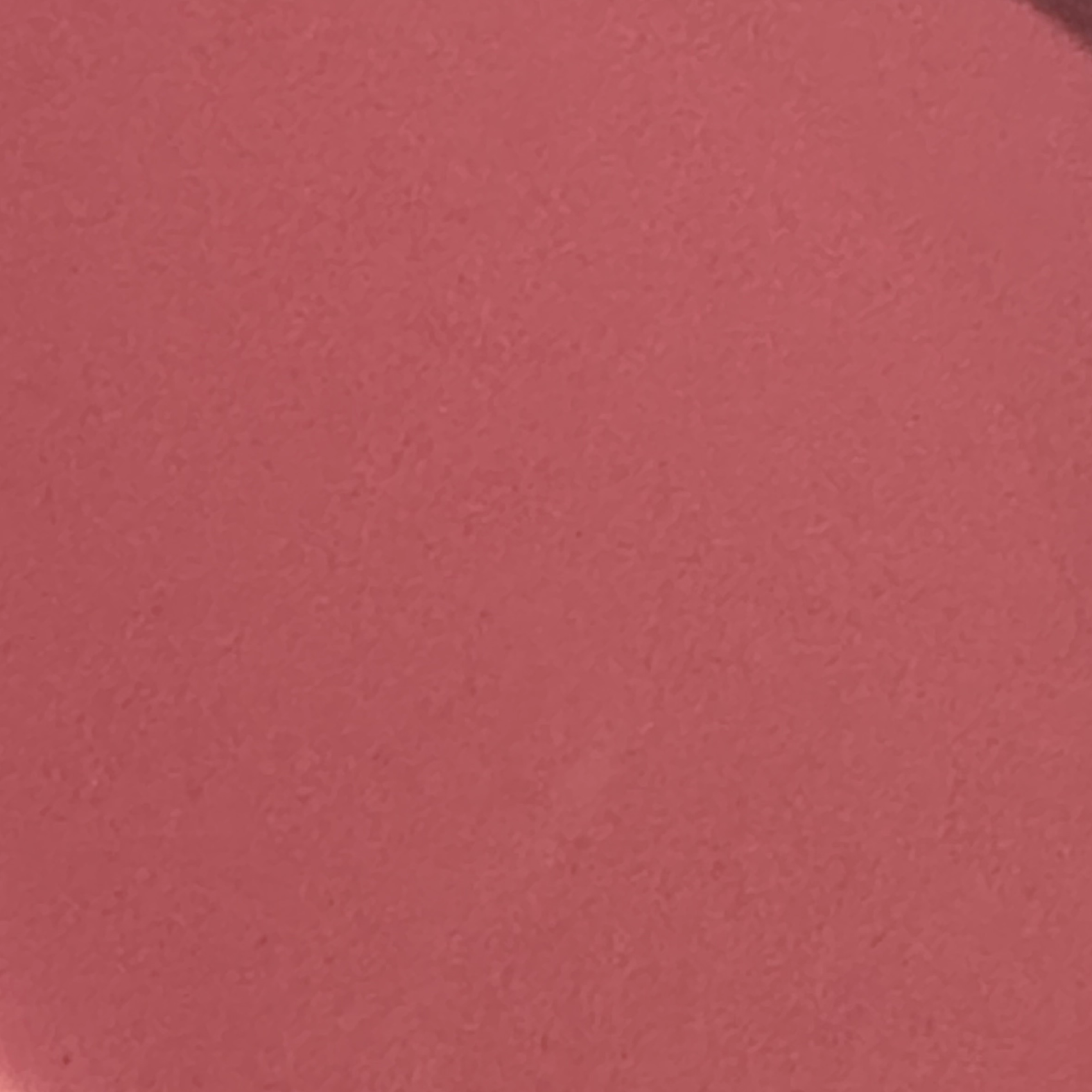 Paranormal Plush™ Blush